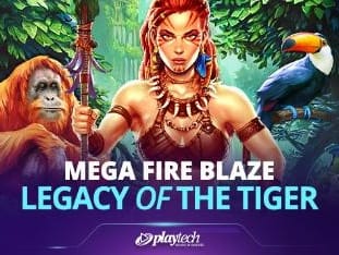 Mega Fire Blaze™_ Legacy Of The Tiger™ game thumbnail